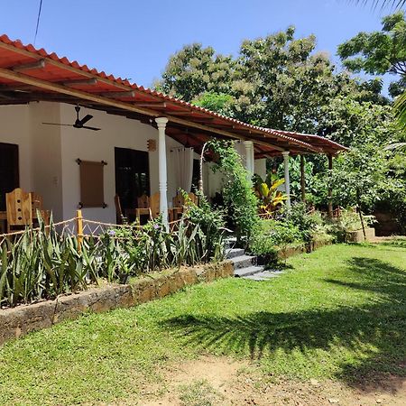 Villa Lyvie Ayurvedic Hotel 탕갈레 외부 사진