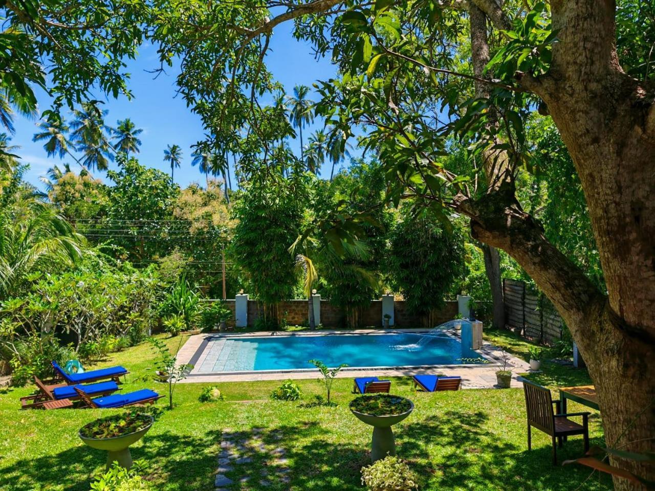 Villa Lyvie Ayurvedic Hotel 탕갈레 외부 사진